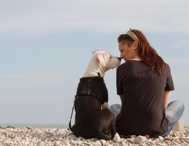 A Friendship Like No Other: 10 Benefits of Pet Ownership